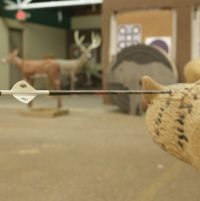 3D Range Open Shooting - Booking
